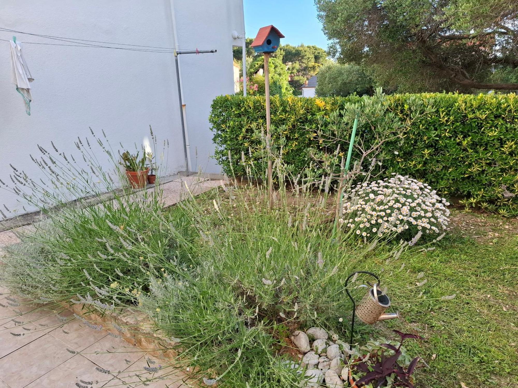 הוילה Banjol Little House Kucica מראה חיצוני תמונה